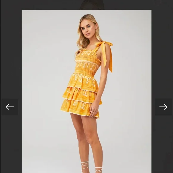 Cleobella Eliana Mini Dress Coastal Print Yellow Tiered Boho Size Small - Picture 3 of 6